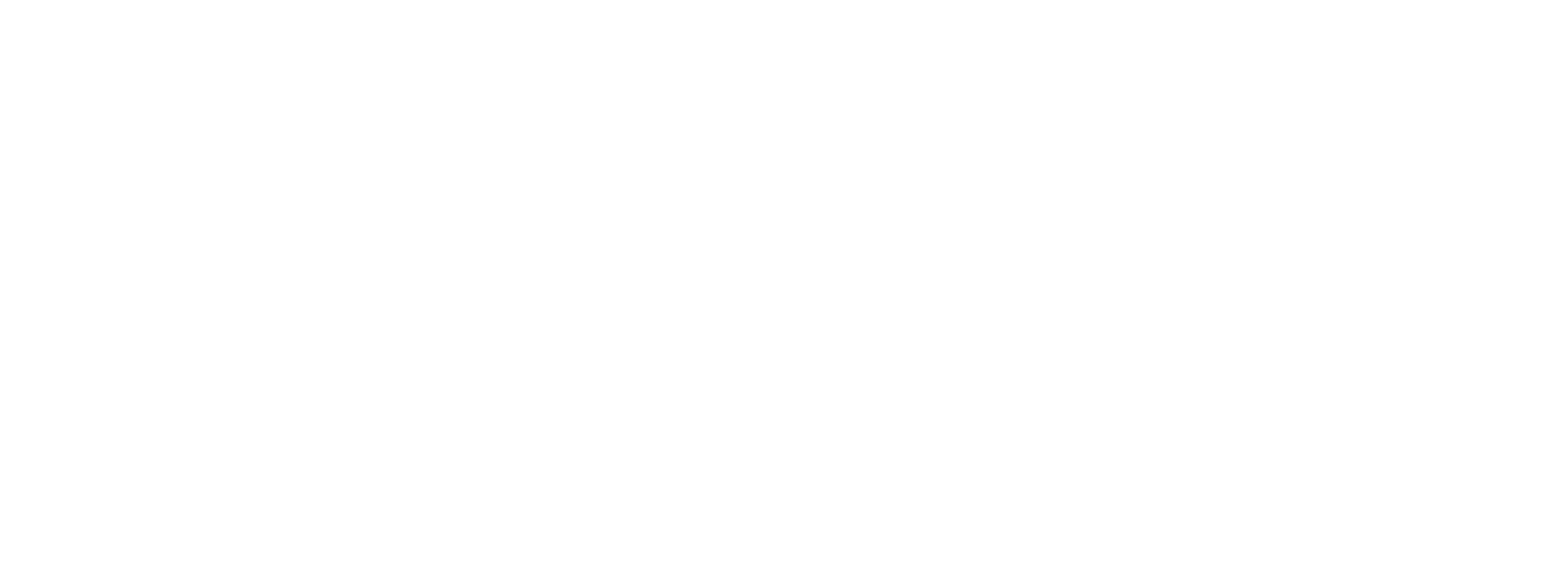 Bridge a Soul