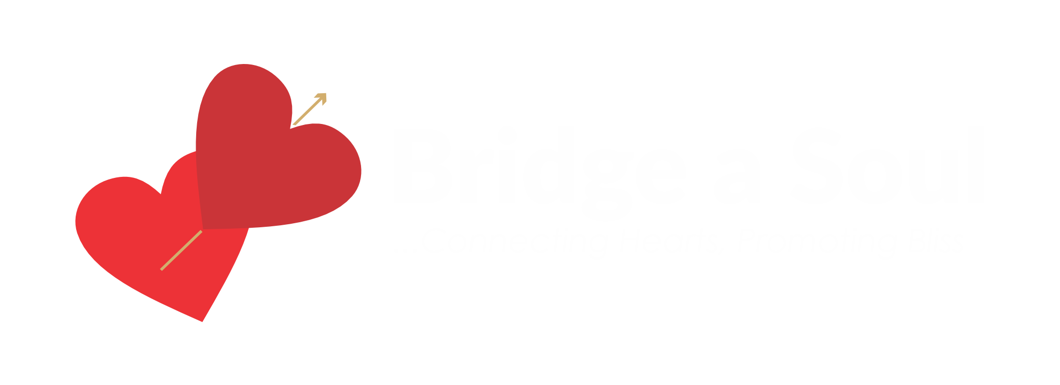 Bridge a Soul